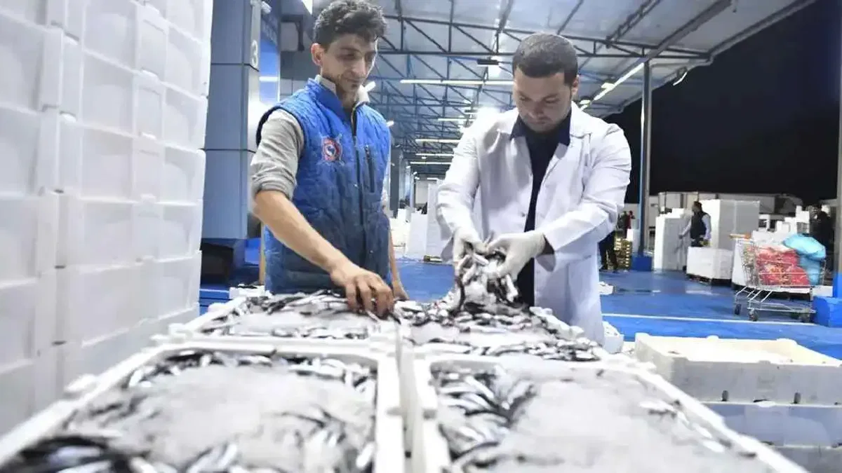 Büyükşehir'den Ankara balık halinde sıkı denetim