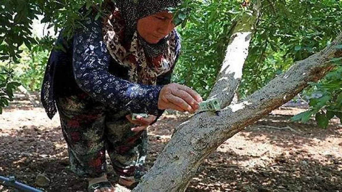 Antalya Büyükşehir'den üreticiye faydalı böcek