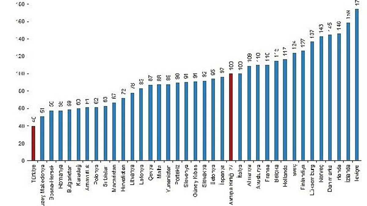 Türkiye'nin tüketim mal ve hizmetleri fiyat düzeyi endeksi 40 oldu