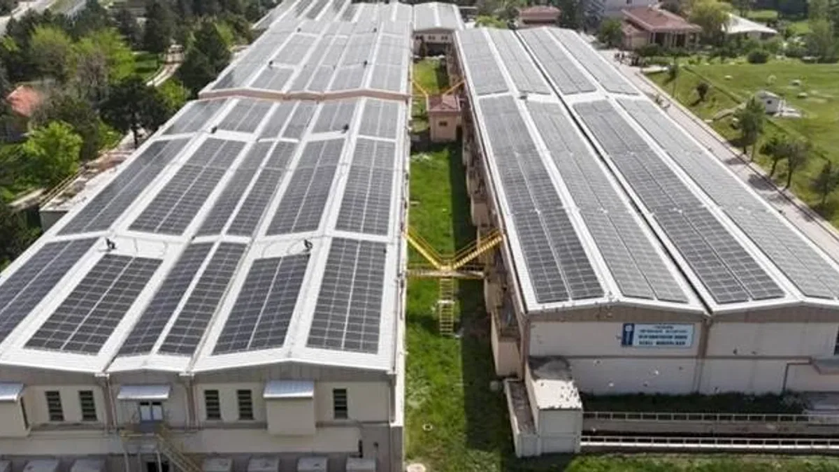 854 ton karbon salınımı önlenerek 34 bin ağaç korundu