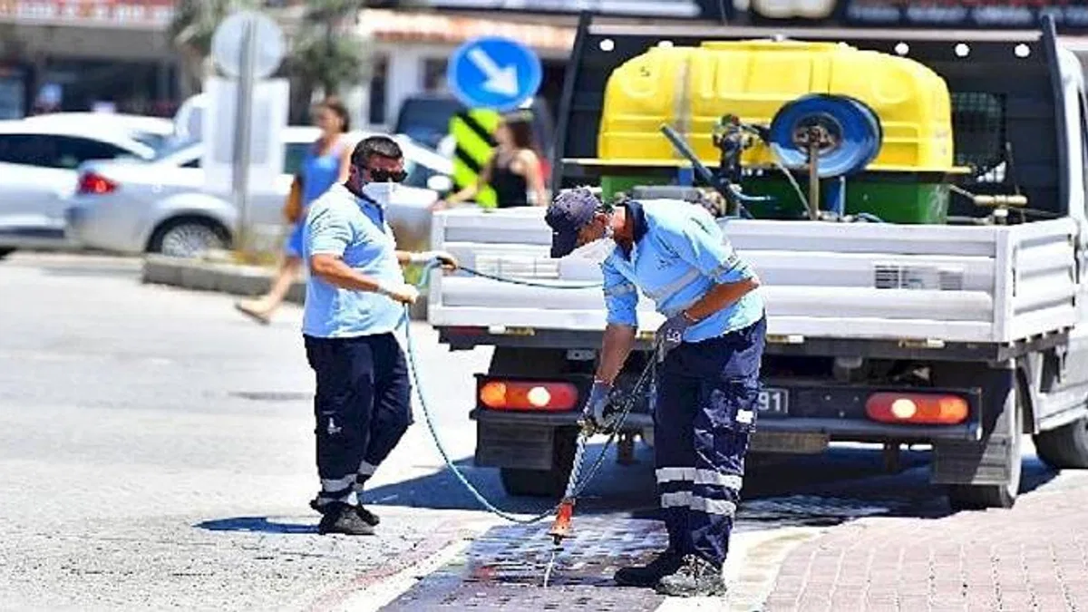 İklim krizi sivrisinek popülasyonunu artırdı