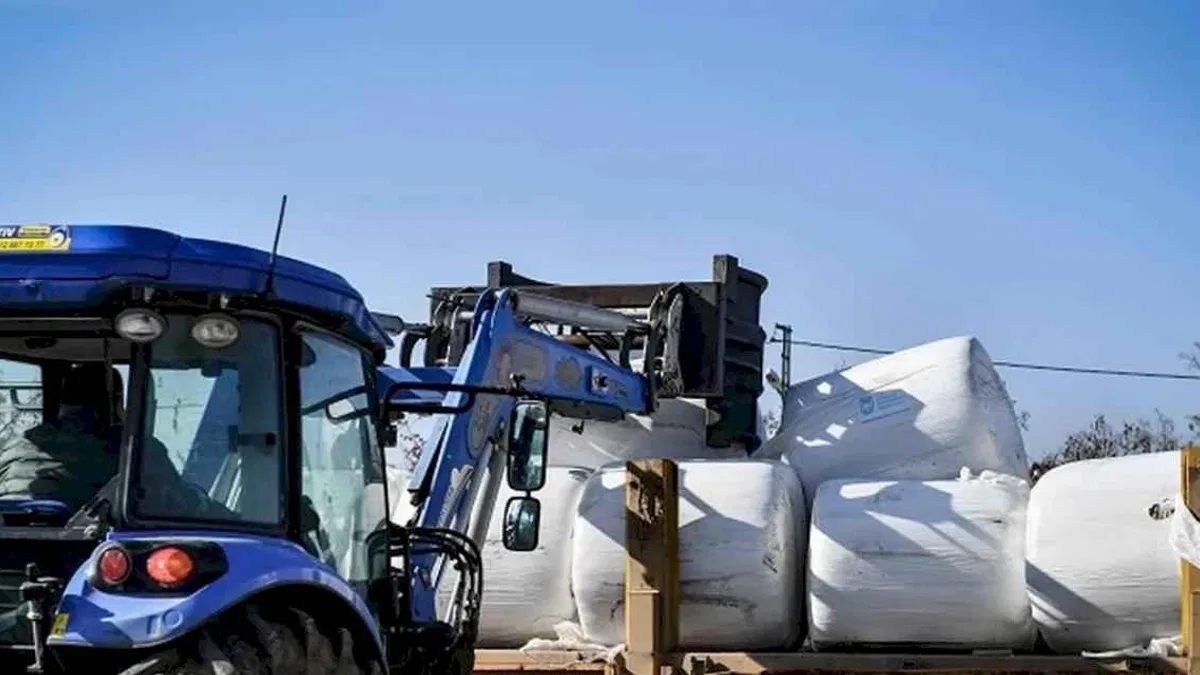ABB'den üreticiye mısır silajı desteği