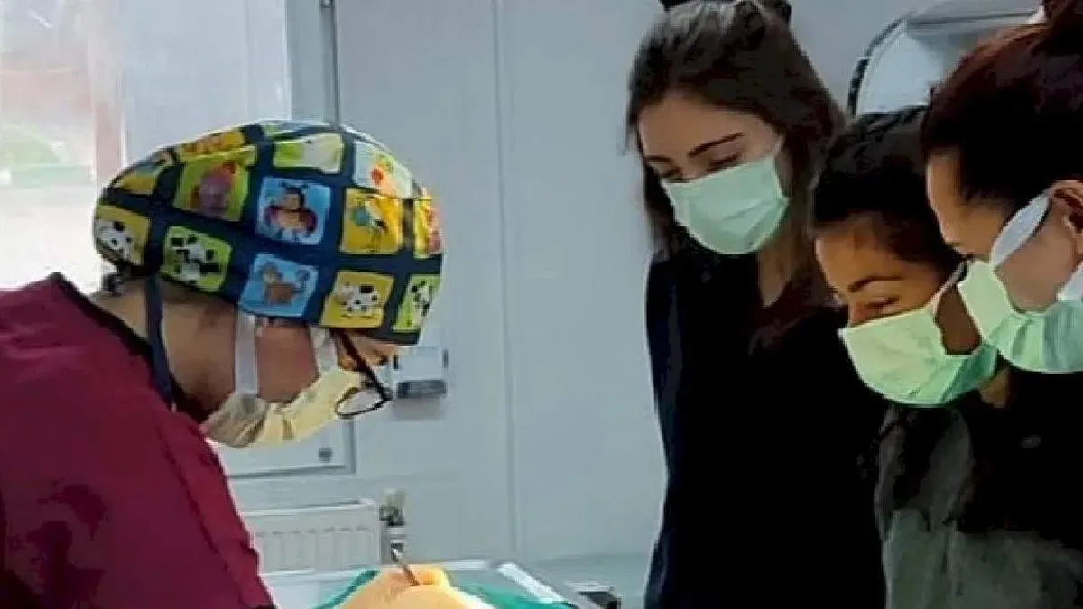 Veteriner Fakültesi öğrencilerine uygulamalı eğitim