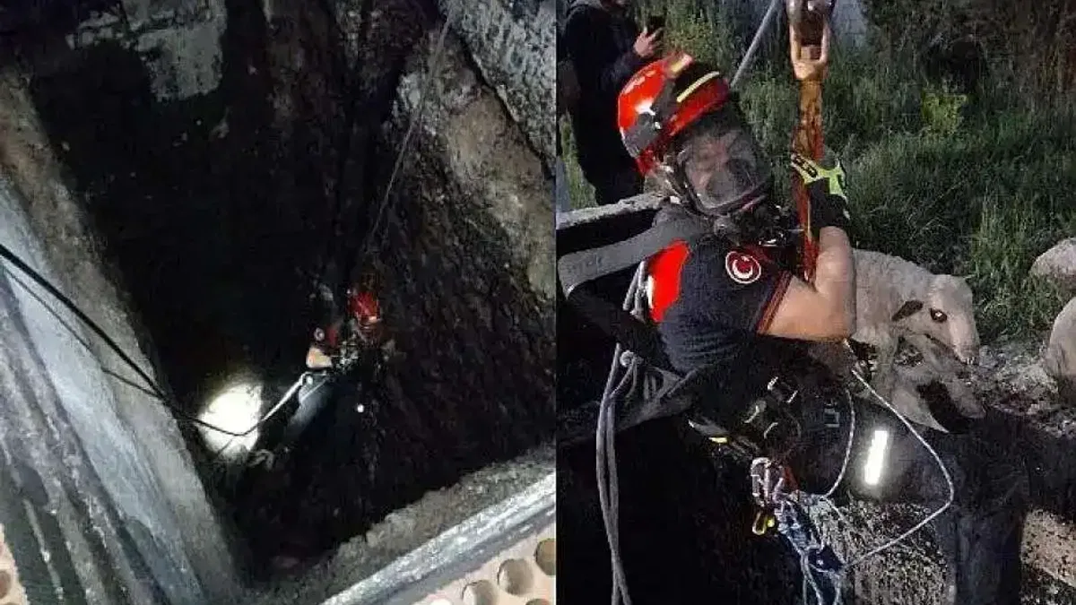 Kuyuya düşen kuzuya itfaiyeden nefes kesen kurtarma