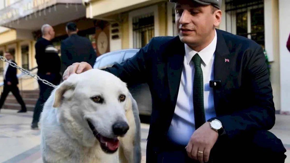 İzmir Bornova uyutmadı, sahiplendi
