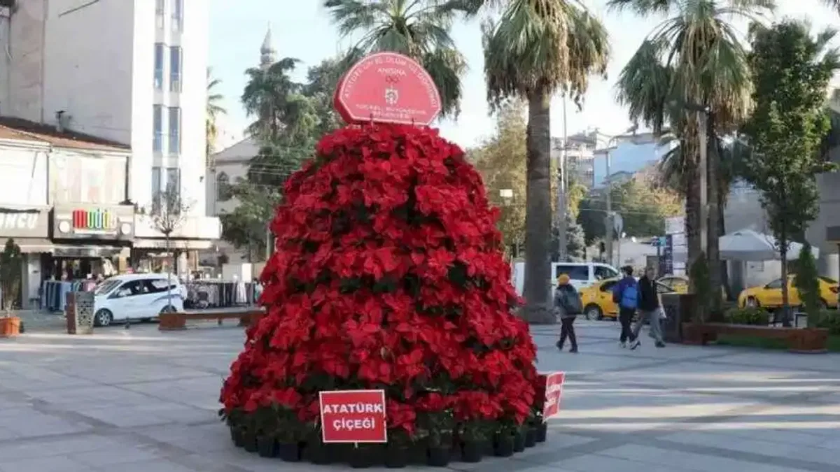 Kocaeli 'Atatürk Çiçeği' ile süsleniyor... Atatürk 1086 Atatürk çiçeği ile anılacak