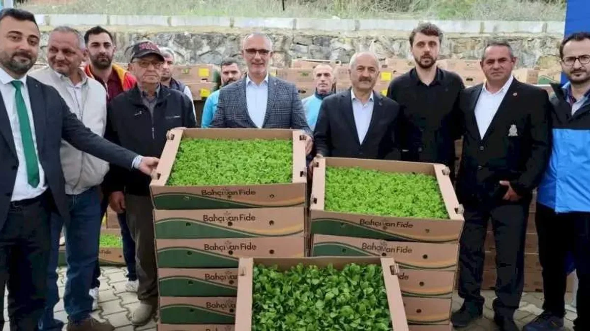 Kocaeli’de çiftçilere sebze fidesi desteği