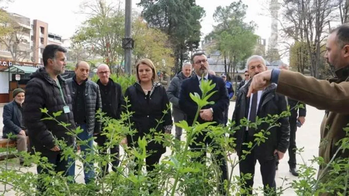 Yeni Cuma Parkı yaz aylarında botanik bahçesine dönüşecek