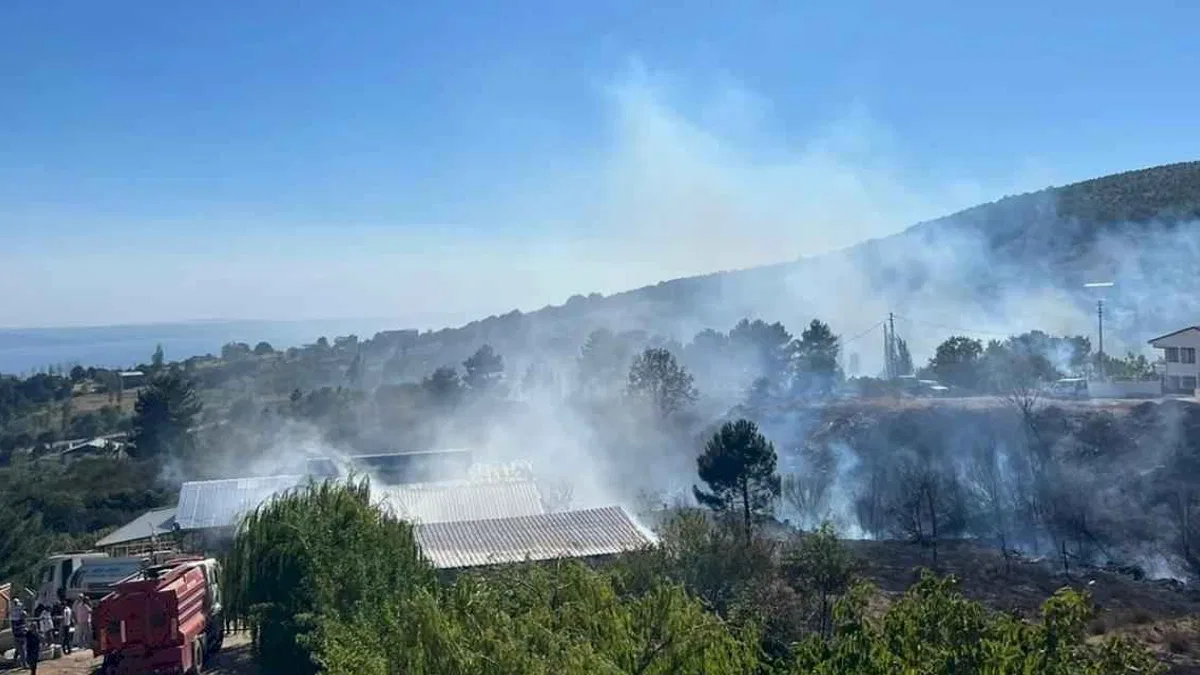 Yalova Armutlu'da orman yangını kontrol altında