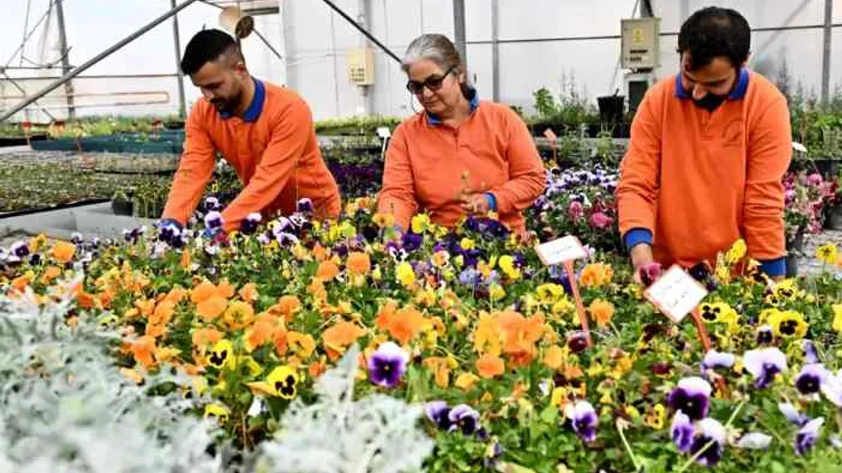 Antalya Muratpaşa'da 130 bin dal çiçek yetiştiriliyor