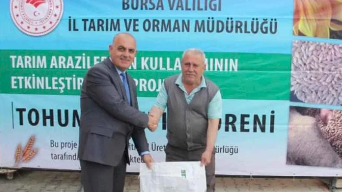 Mudanyalı üreticilere ayçiçeği tohumu dağıtıldı