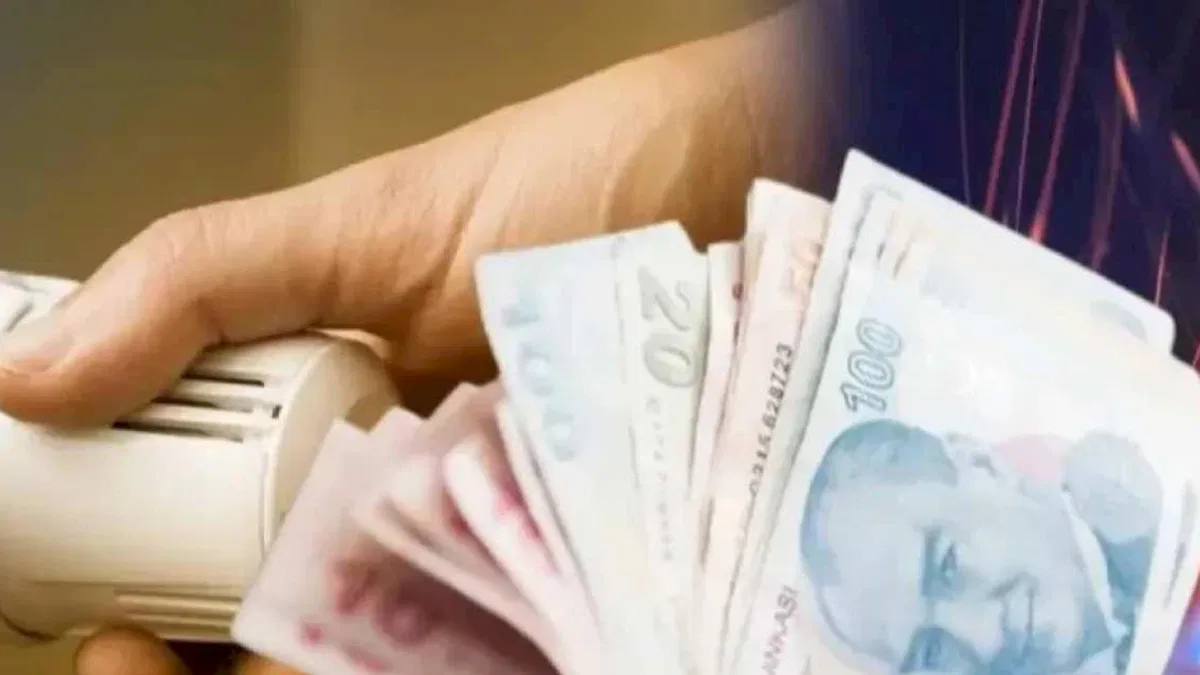 Doğal gaz desteğinde 9 ayda milyarlık ödeme