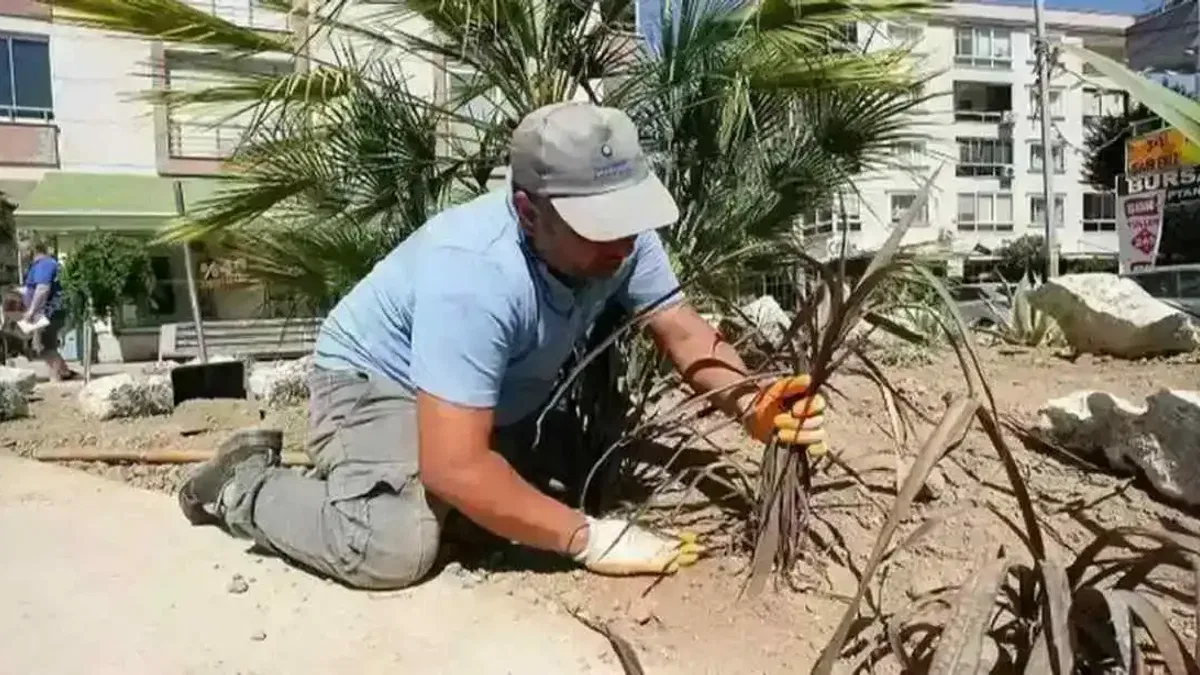 İzmir Gaziemir Belediyesi kurakçıl peyzajı yaygınlaştırıyor