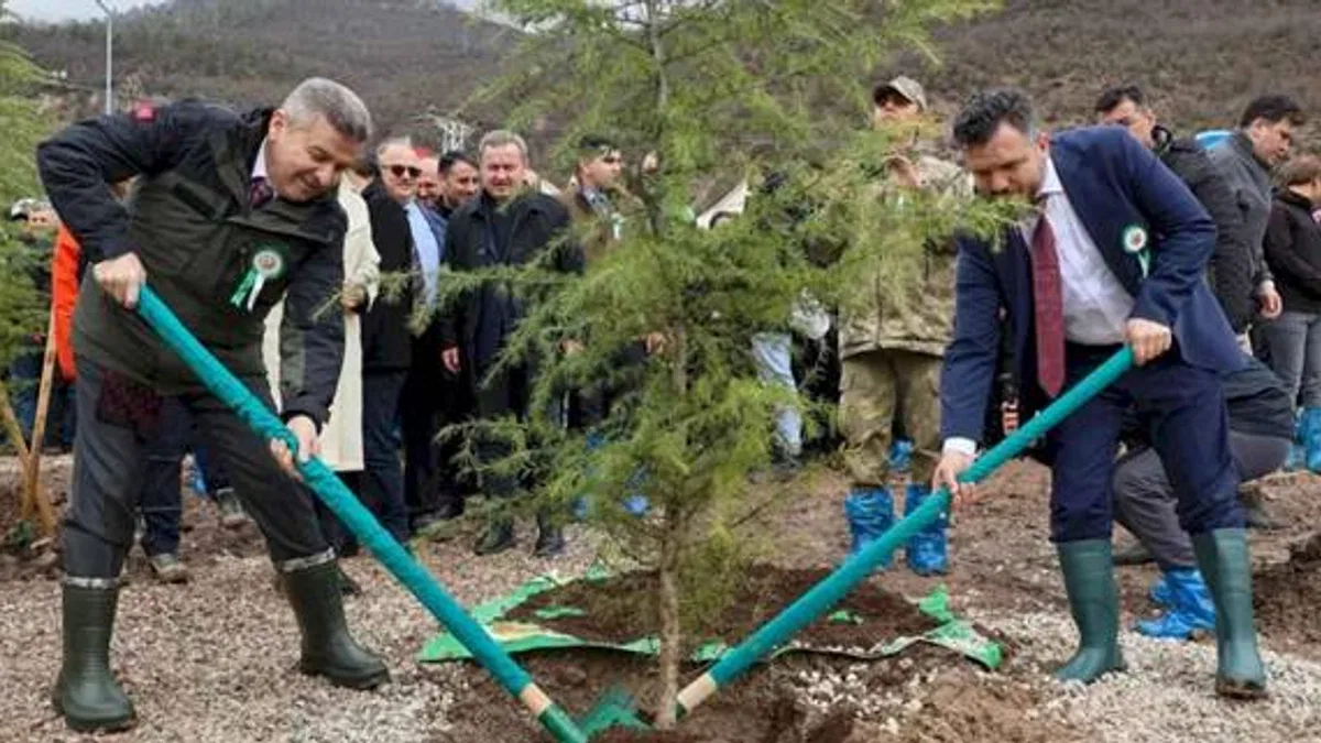 Artvin'de 21 Mart'a özel fidan dikimi