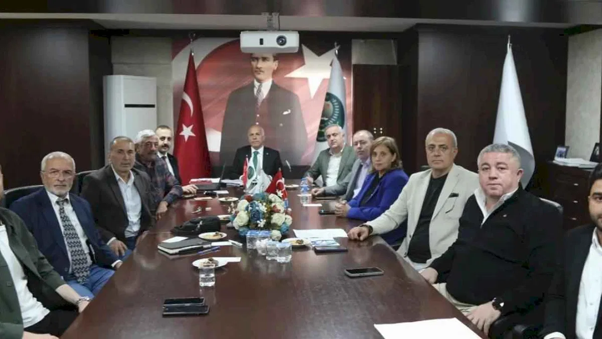 Artvin’de yeni sezonu zeytin fiyatları belli oldu
