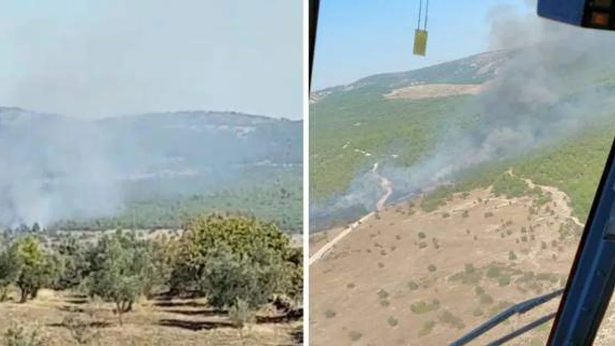Manisa'da çıkan orman yangınına havadan ve karadan müdahale ediliyor