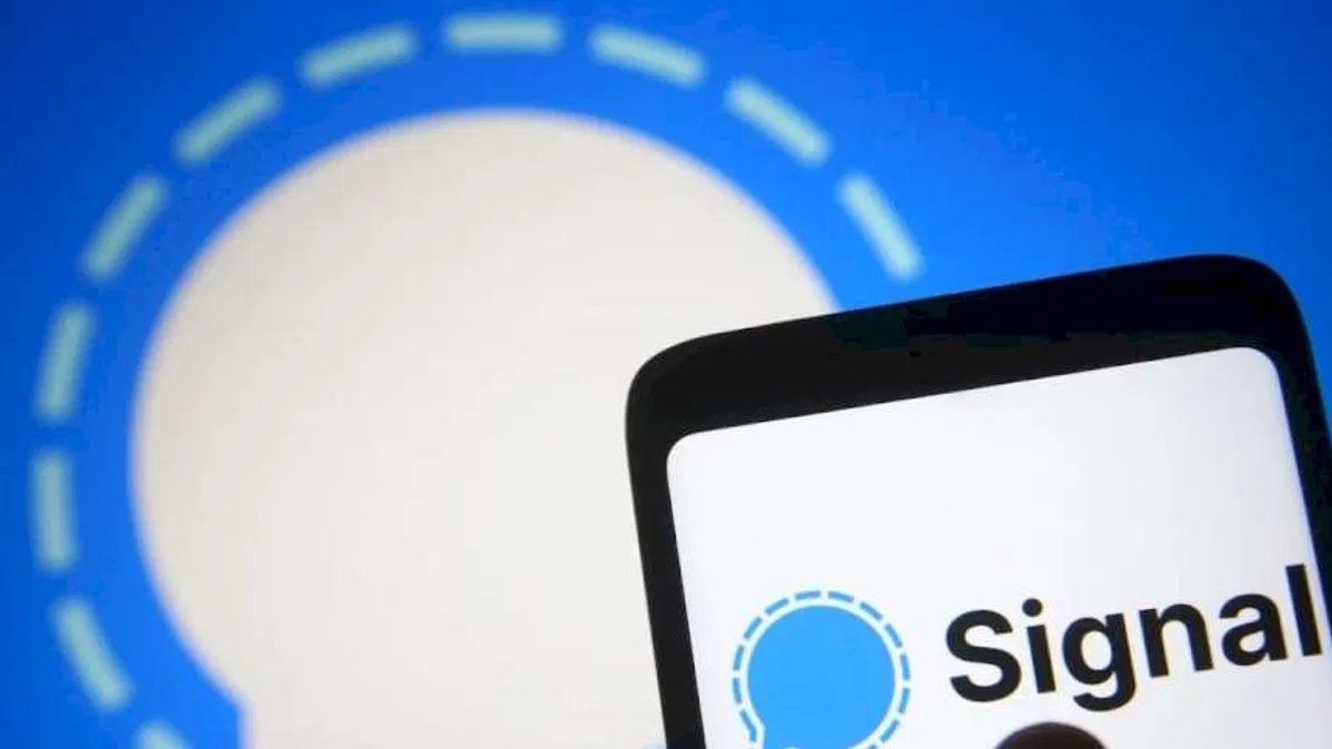 Signal, Kullanıcı Adları Özelliğini Test Ediyor