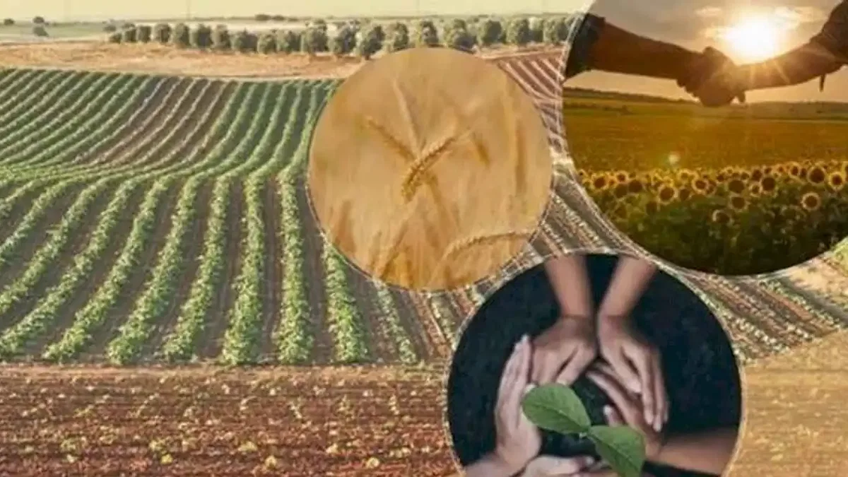 Tarımsal örgütlere yönetmelik ayarı