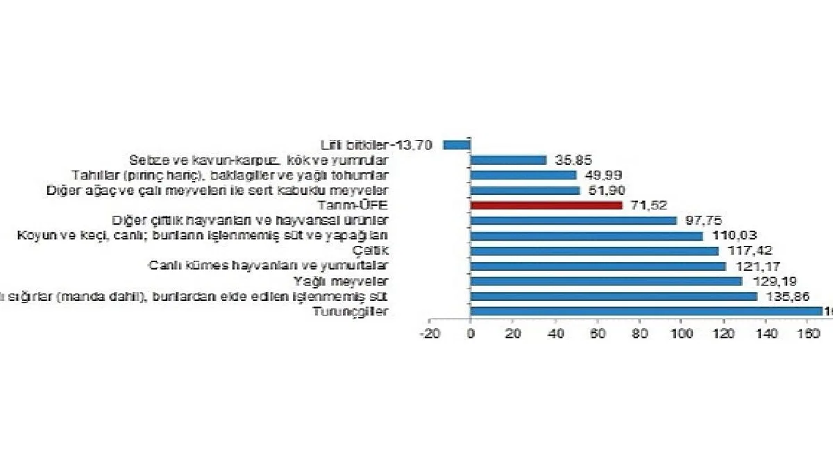 TÜİK: Tarım ürünleri üretici fiyat endeksi (Tarım-ÜFE) yıllık %71,52 arttı, aylık %2,32 azaldı