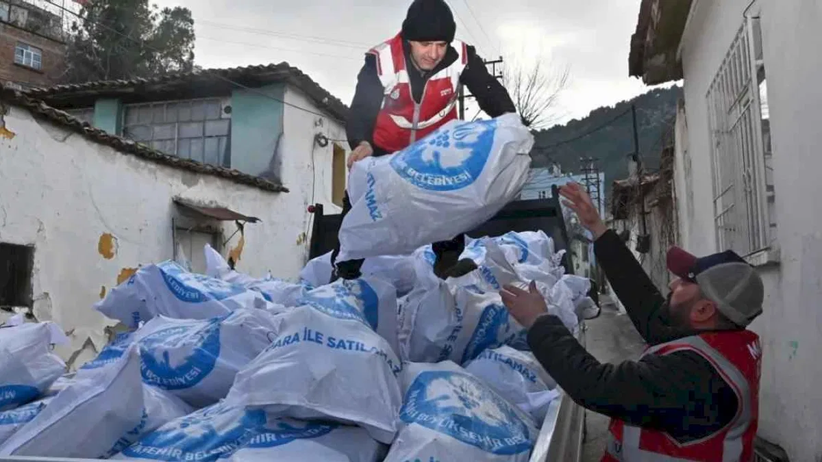 Manisa'da binlerce çuval odun ihtiyaç sahiplerine dağıtılıyor