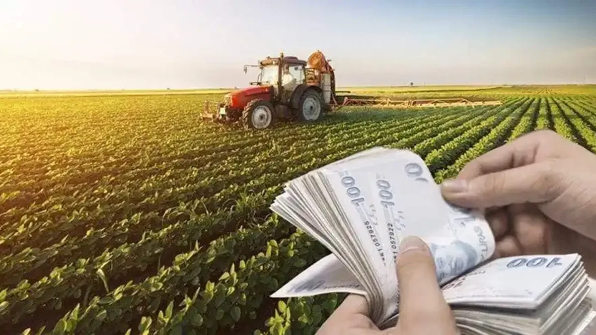 Hazine destekli tarım kredileri sektöre olumlu yansıyacak