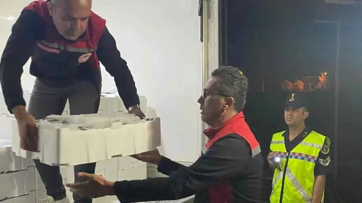İzmir'de yasadışı avlanan bin 430 kilogram hamsiye el konuldu