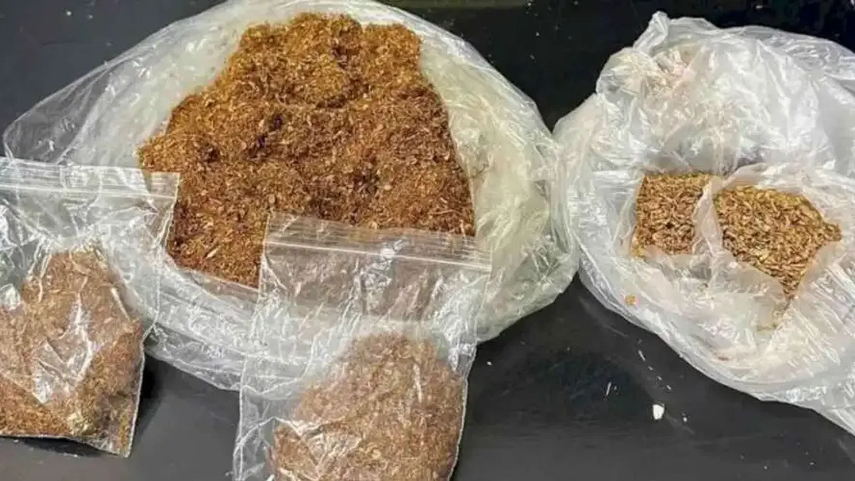 Adıyaman'da uyuşturucu tacirlerine geçit yok