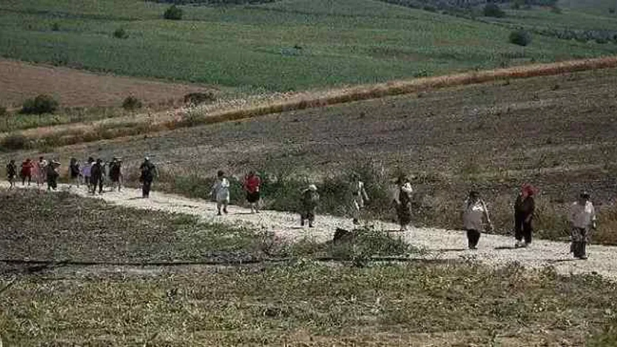 Nilüfer'deki tarım uygulamaları hayranlık uyandırdı