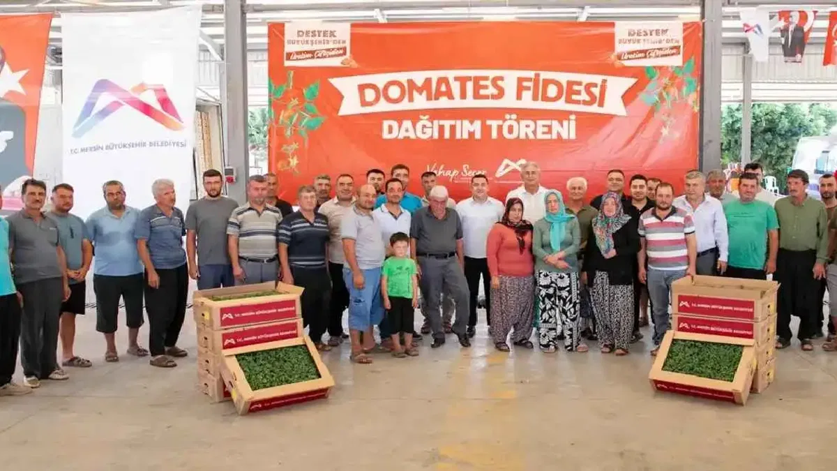 Mersin’de üreticiye domates fidesi desteği