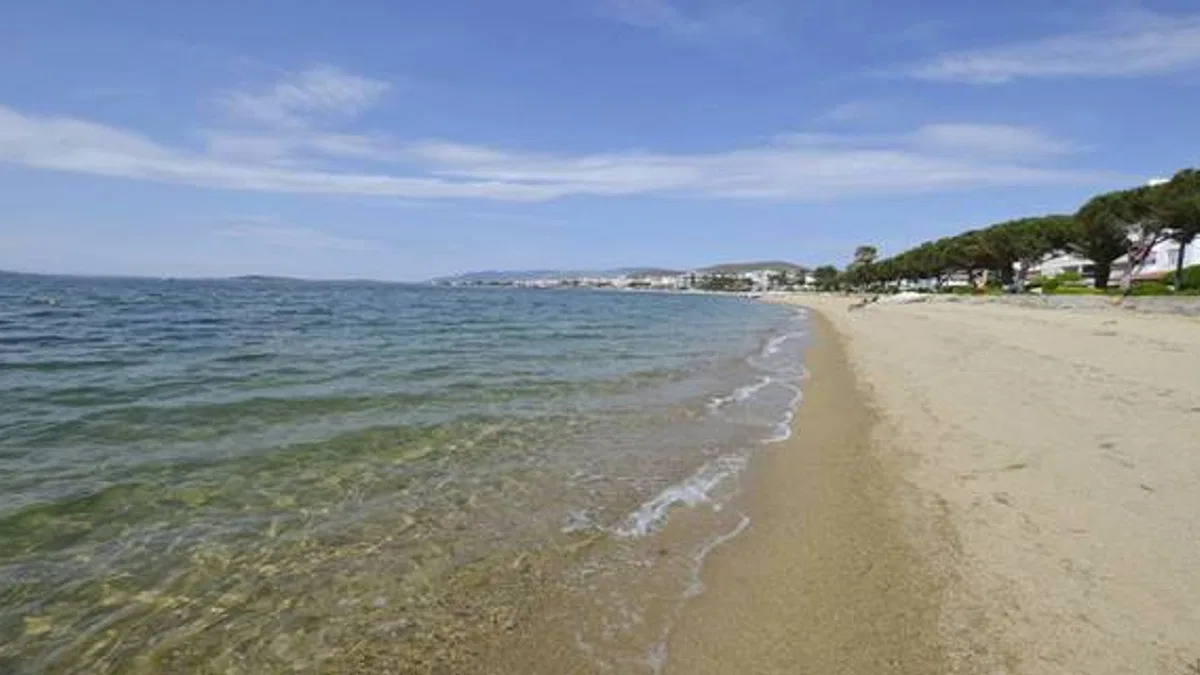 Ulaşımı Kolay Uygun Fiyatlı Avşa Adası Otelleri ve Pansiyonları 2023