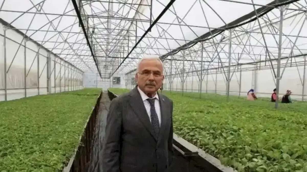 Üreticilere 4 milyon liralık fide