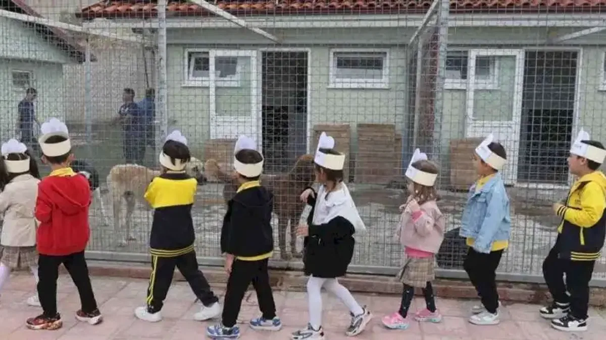 Muğlalı minik yüreklerden can dostlara ziyaret
