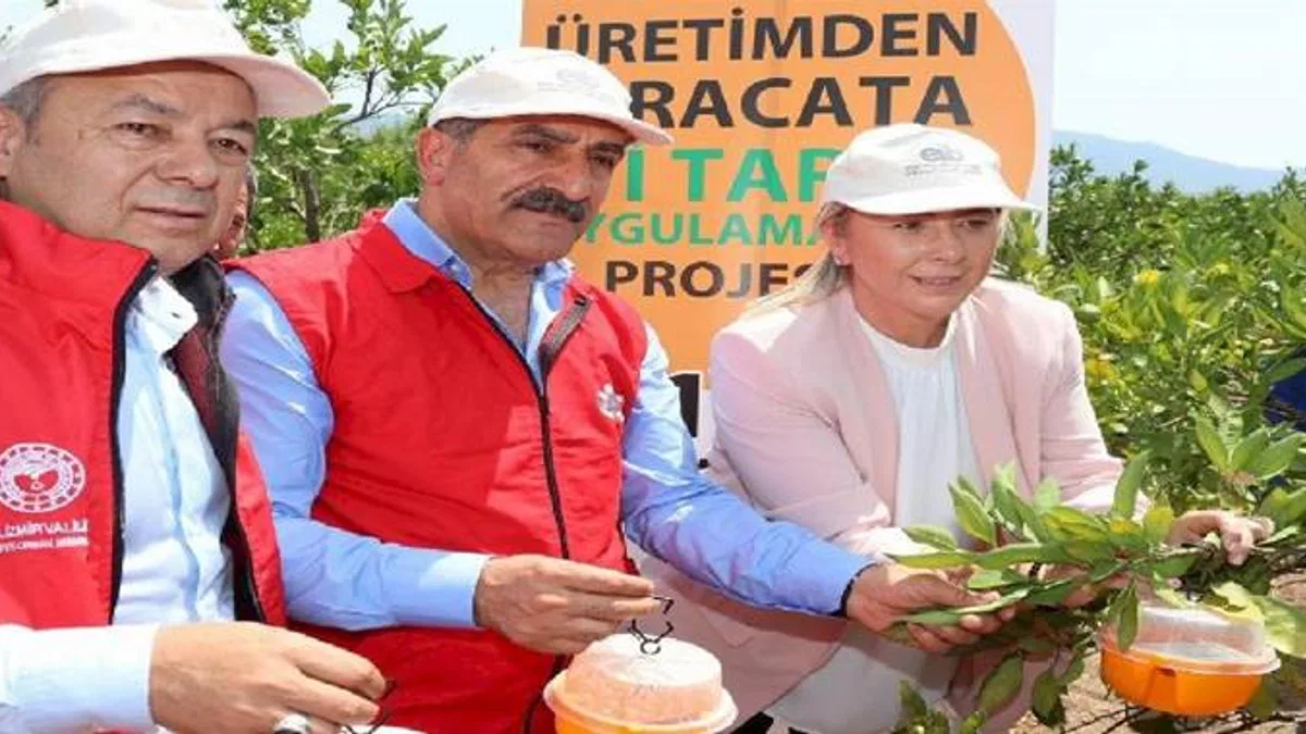 İzmir'de Akdeniz Meyve Sineği ile mücadele... 5 bin tuzak dağıtılıyor