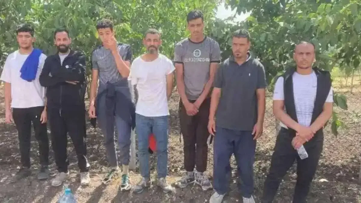 Edirne'de 7 göçmen yakalandı