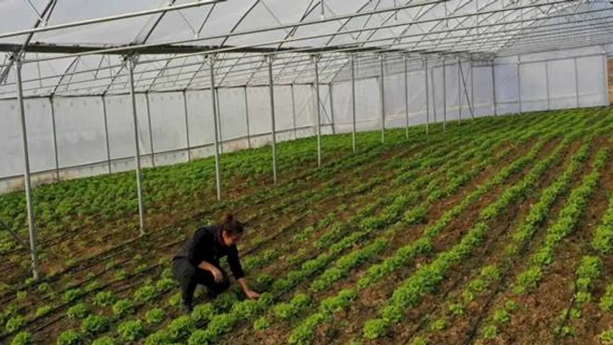 Kocaeli Büyükşehir’den çiftçilere modern sera desteği