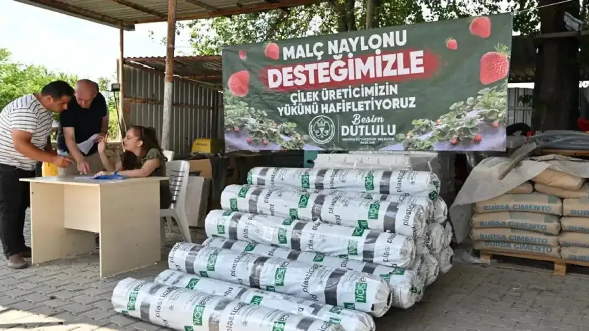 Manisa’da çilek üreticisine Büyükşehir’den destek