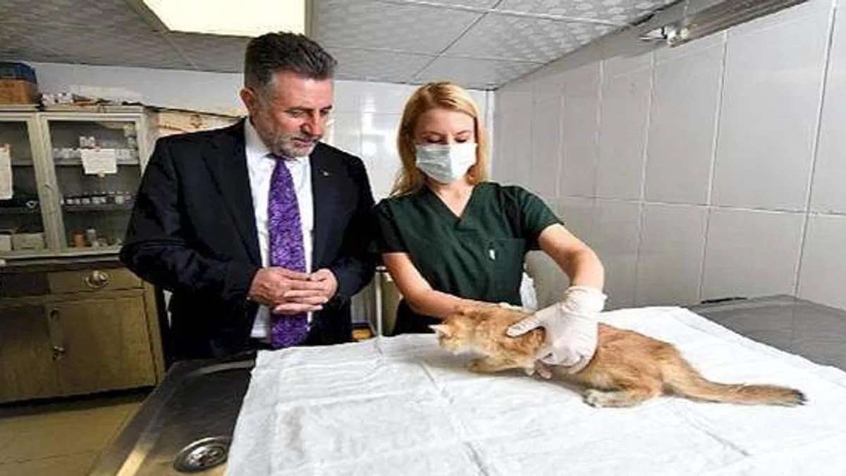 Bayraklı'daki can dostlara özel klinik!
