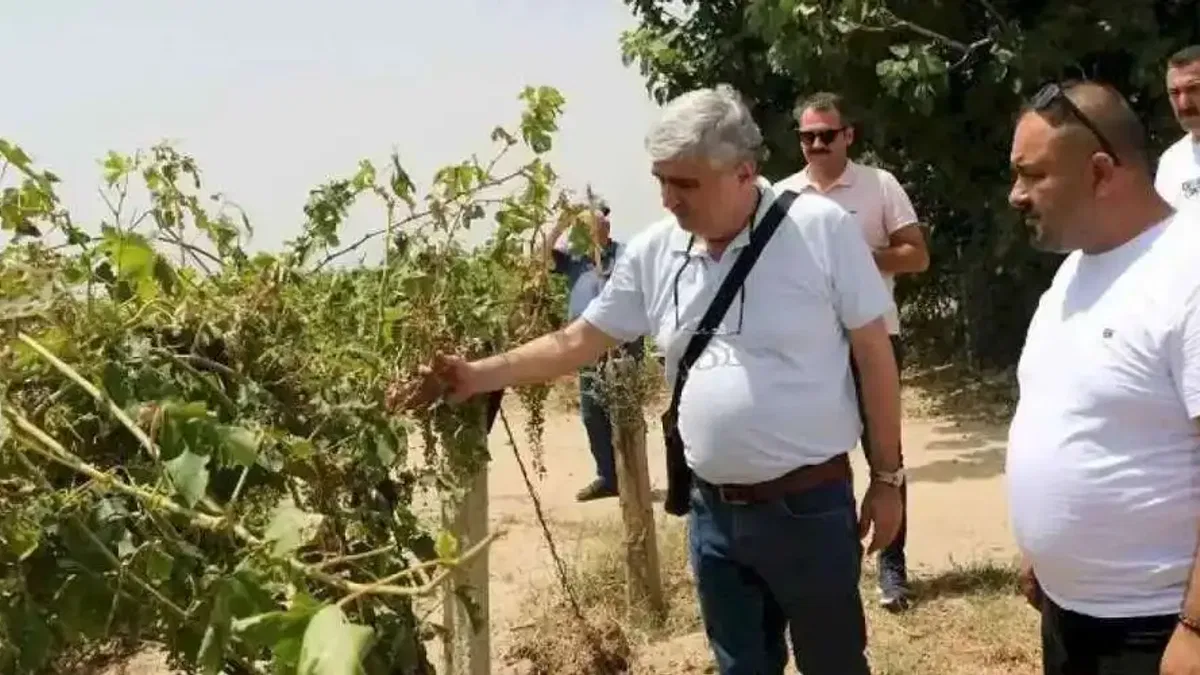 Manisa Büyükşehir ve Alaşehir Belediyeleri afetzedelerin yanında