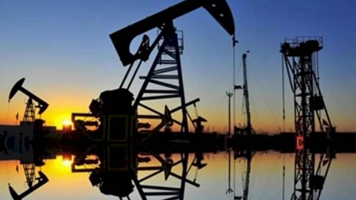 Enerjinin nihai kullanımında en çok petrol tüketildi