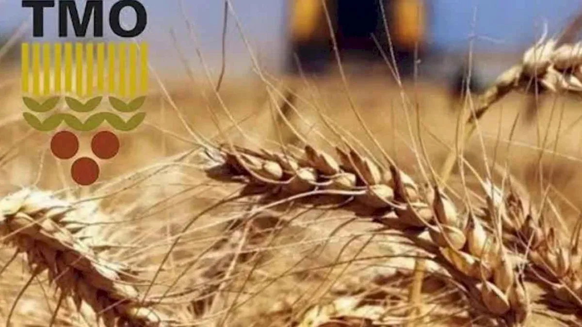 TMO'dan haciz iddialarına yalanlama