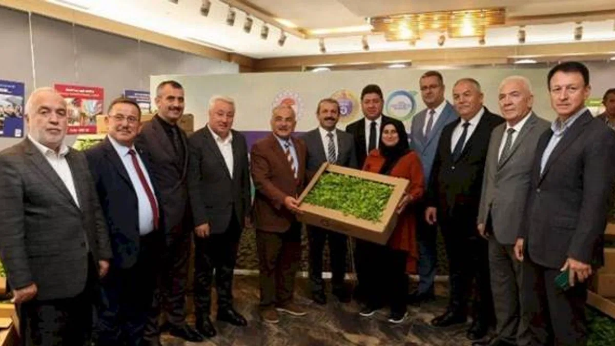 Belediye üretti, çiftçi dikecek