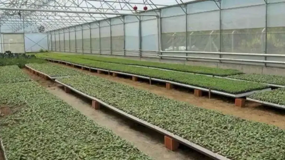 Ordu’da 4,5 milyon fideyle üretim seferberliği