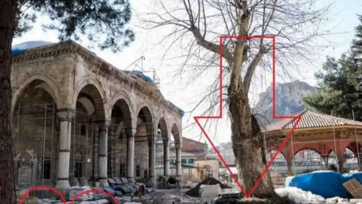 Tokat'ta yüzlerce taşın gizemi!