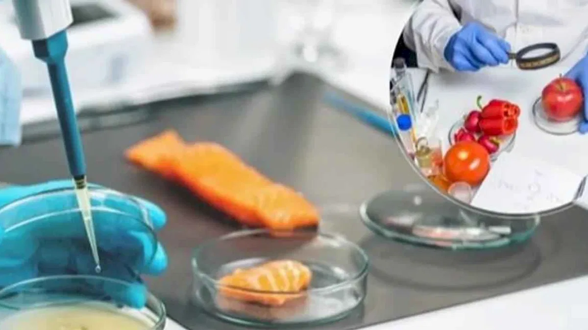 AB'nin 'Gıda Güvenliği'ne Türkiye'de katıldı... Gıda etiketi okuma alışkanlığı teşvik edilecek