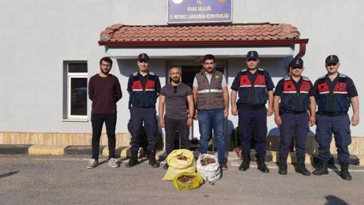 Sivas'ta salep soğanı toplayan 9 kişiye 986 bin 337 lira ceza