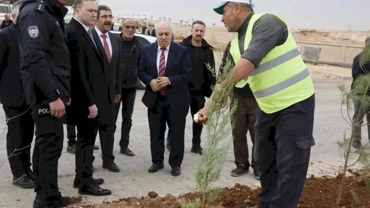 Mardin Yeşilli 2.ci OSB’de binlerce ağaç toprakla buluştu