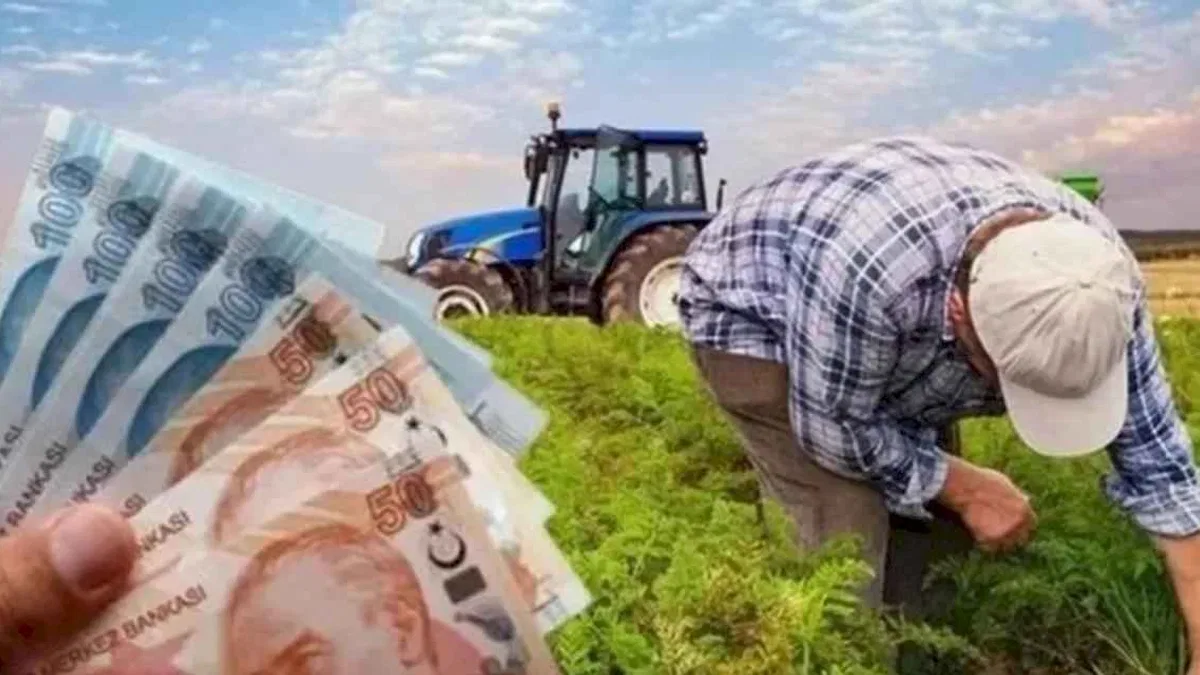 Çiftçilere 865 milyon TL'lik destek ödemesi hesaplarda