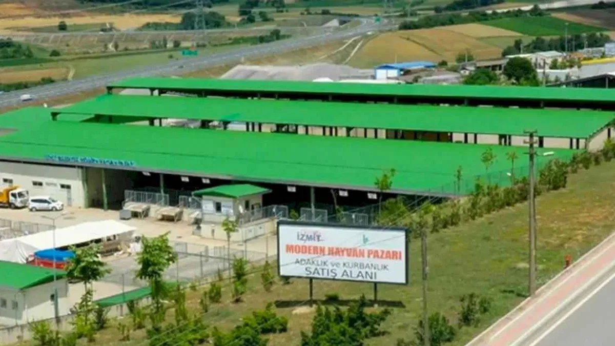 İzmit'te kurban satışı için ön kayıtlar başladı