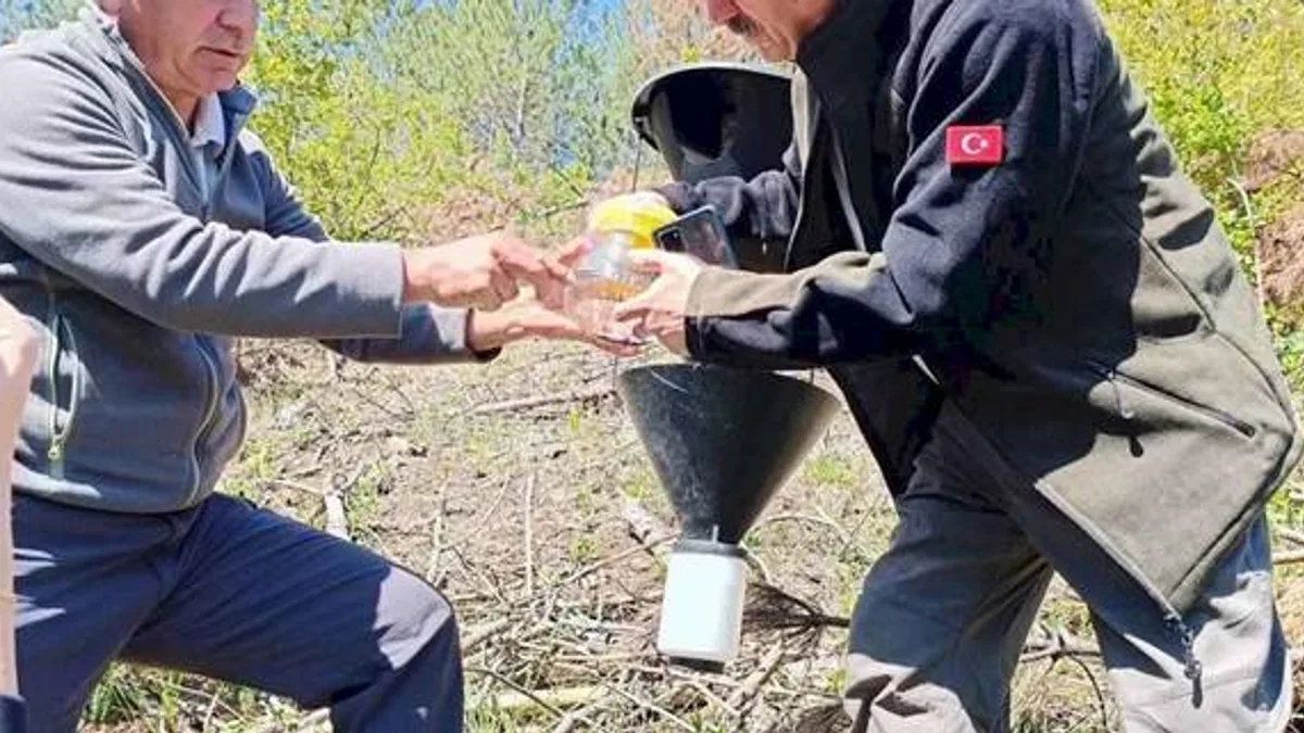 Bursa’da kabuk böceklerine karşı biyolojik mücadele başladı