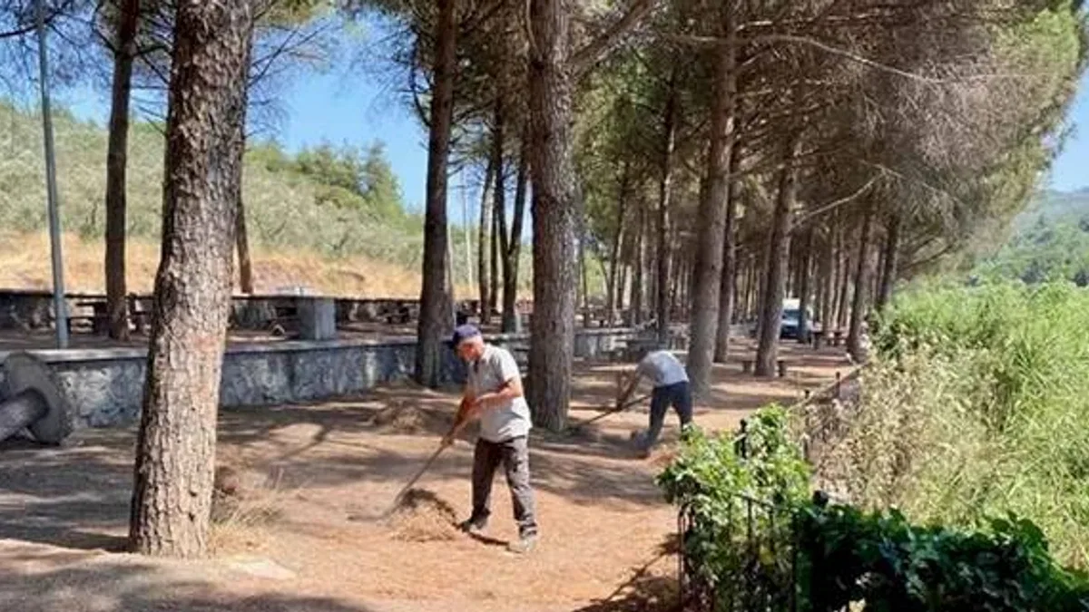 Gemlik Kurtul Piknik Alanı'nda kapsamlı temizlik